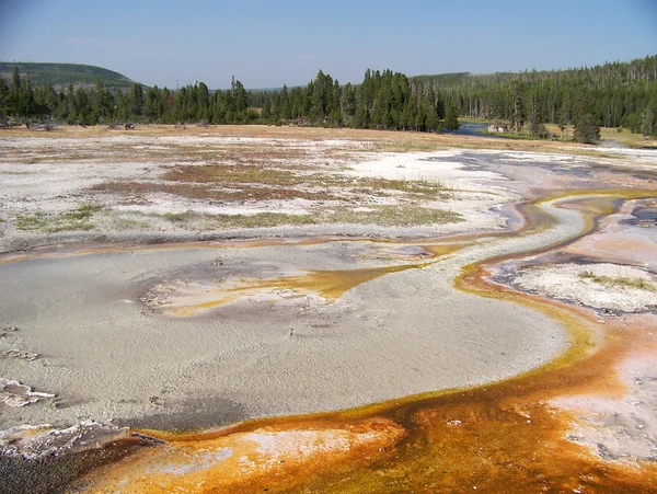 Landschap in yellowstone — Stockfoto