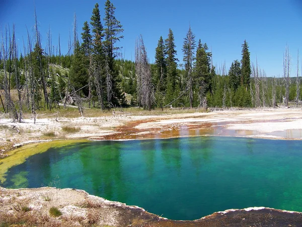 Lago verde — Fotografia de Stock