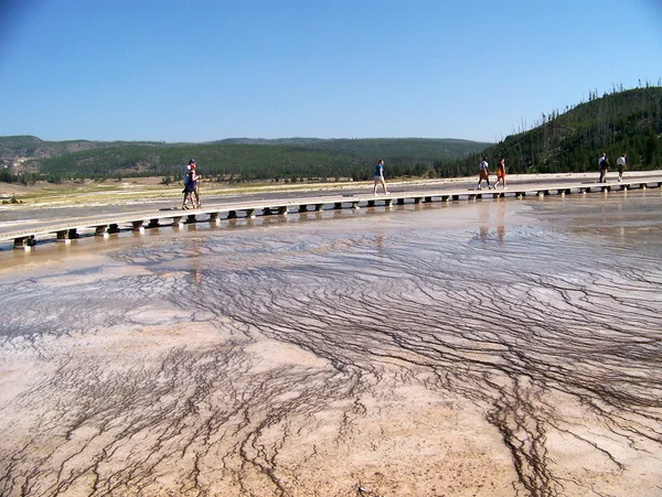 Warmwaterbronnen yellowstone — Stockfoto