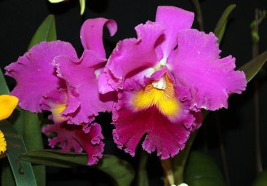 tiempo para encontrar un reloj del concepto de trabajo