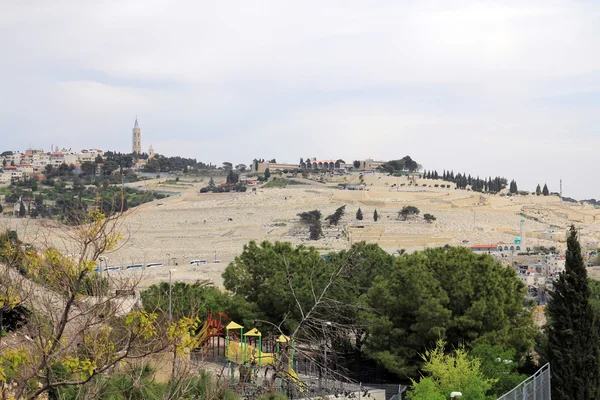 Montaña de olivos en Jerusalén — Foto de Stock