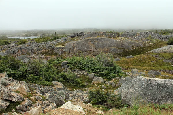 Klondike Alaska