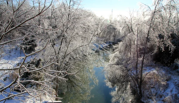 Winter Landscape — Stock Photo, Image