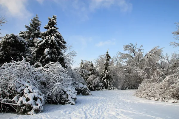 Winterlandschap — Stockfoto