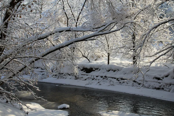 Winterlandschaft — Stockfoto