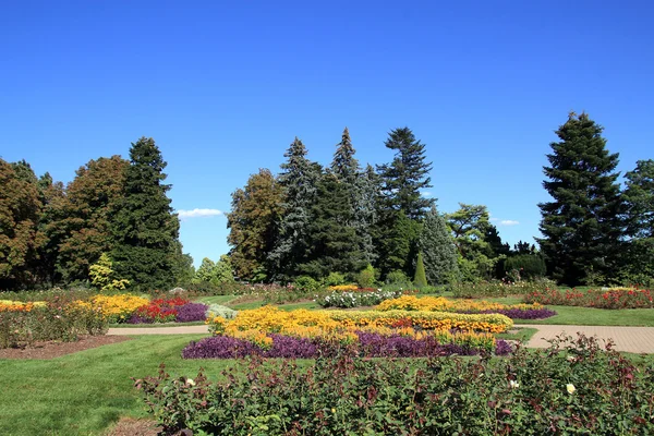 Botanical Garden — Zdjęcie stockowe