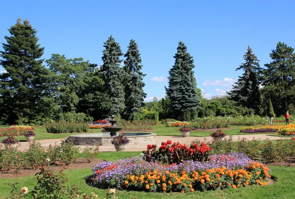 Botaniska trädgården — Stockfoto