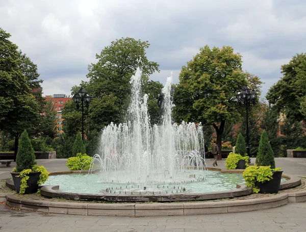 La fontana — Foto Stock