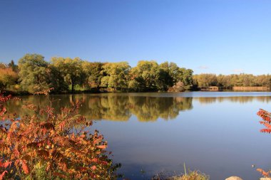 Göl ve ağaçlarla sonbahar manzarası