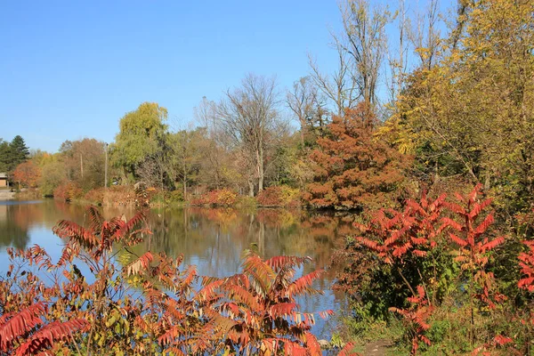 Herbstlandschaft Mit See Und Bäumen — Stockfoto