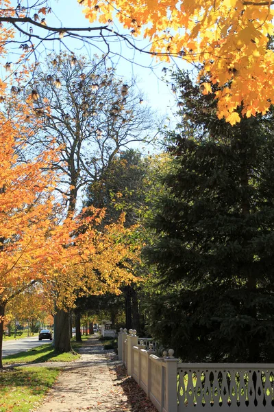Jesienny Krajobraz Miasta Kolorowymi Drzewami — Zdjęcie stockowe