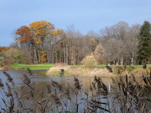 Herbstlandschaft Mit See Und Bunten Bäumen — Stockfoto