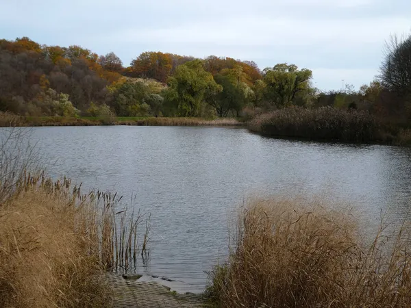 Herbstlandschaft Mit Bunten Bäumen Und See — Stockfoto