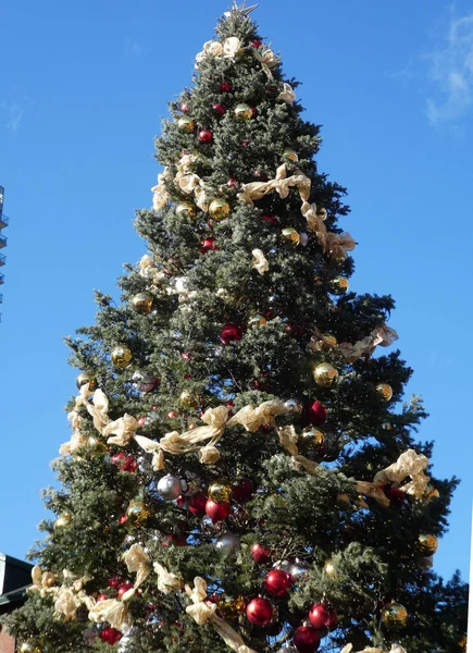 Decorações Natal Árvore Natal Como Pano Fundo — Fotografia de Stock