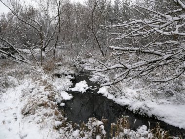 Ormanla kaplı tarafından kar kış manzara