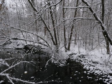 Ormanla kaplı tarafından kar kış manzara