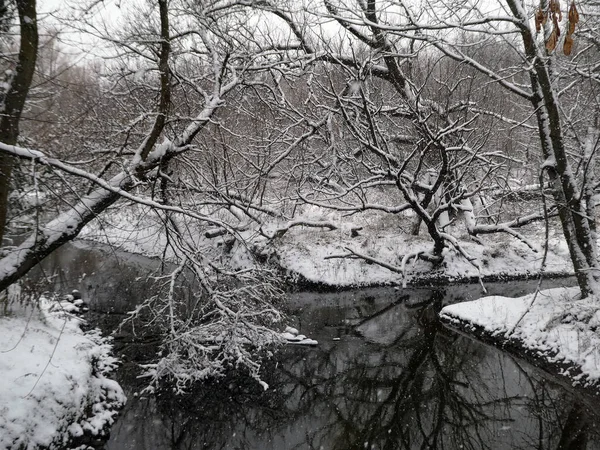Зимний Пейзаж Покрытым Снегом Лесом — стоковое фото