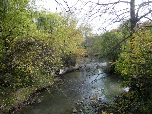 Der Fluss Herbstwald — Stockfoto