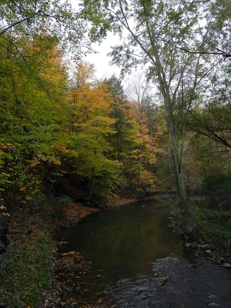 Sonbahar Ormanındaki Nehrin Manzarası — Stok fotoğraf