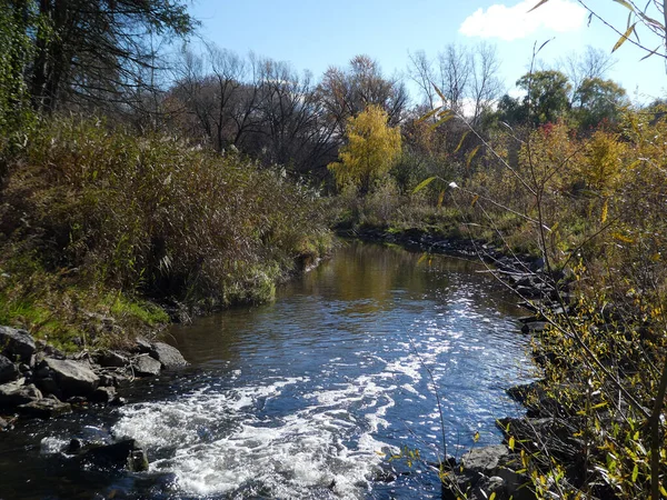 Ormanda Sonbahar Esprisi Nehri Telifsiz Stok Fotoğraflar