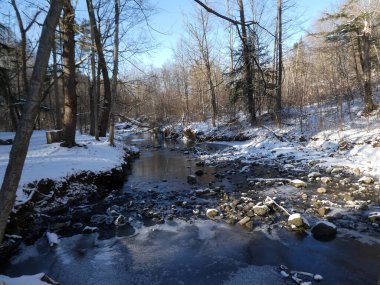 Kış manzara nehir orman ile