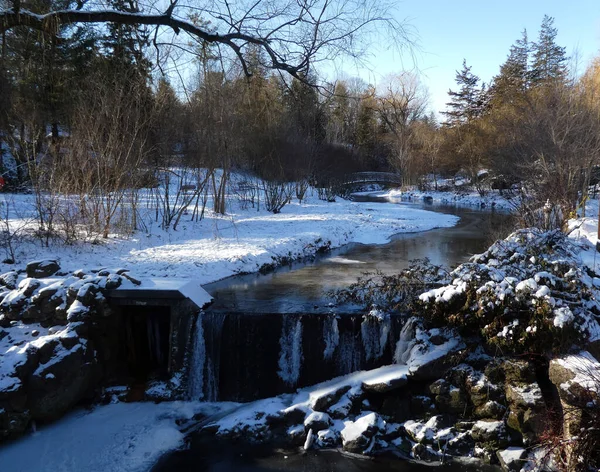 Winterlandschaft Mit Fluss Wald — Stockfoto