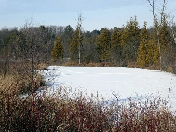 Paisagem Inverno Com Lago Congelado — Fotografia de Stock