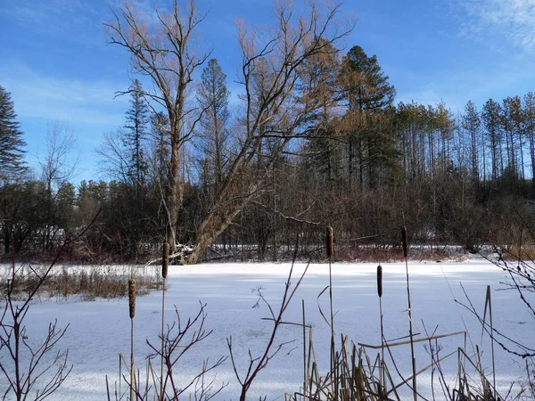 Зимовий Пейзаж Замерзлим Озером — стокове фото
