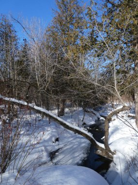 Kardan sonra dereyle kışın manzarası