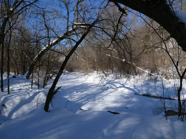 Paisaje Con Río Congelado Bosque Invernal — Foto de Stock