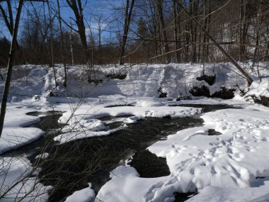 Orman ve nehirle kaplı kış manzarası