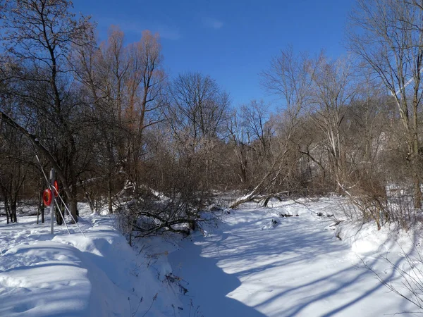 Besneeuwde Trail Het Winter Forest — Stockfoto