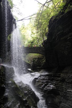Watkins Glen Şelalesi, New York Eyaleti, ABD 