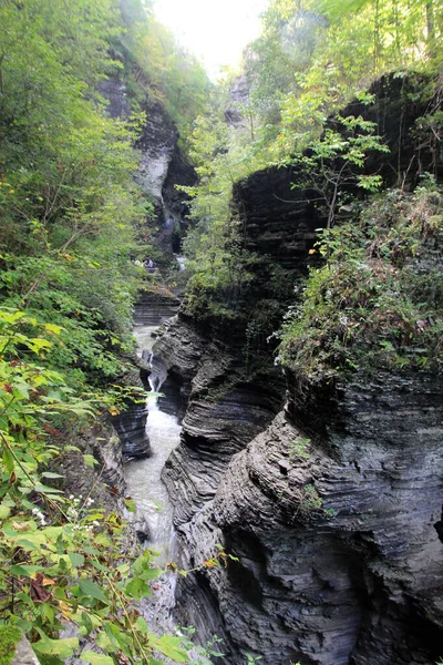 Watkins Glen Şelalesi New York Eyaleti Abd — Stok fotoğraf