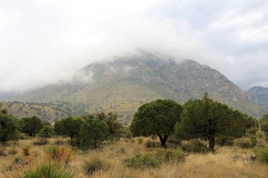 New Mexico, ABD 'deki Guadalupe dağlarıyla manzara