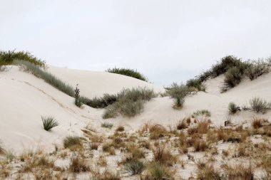 Beyaz kumlar New Mexico, ABD 'de park ediyor.