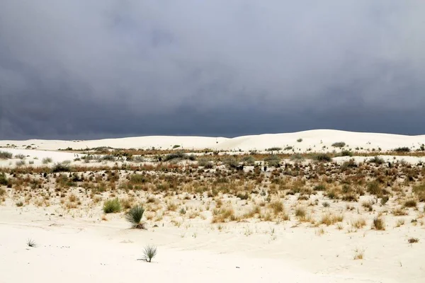 Beyaz kumlar New Mexico, ABD 'de park ediyor.