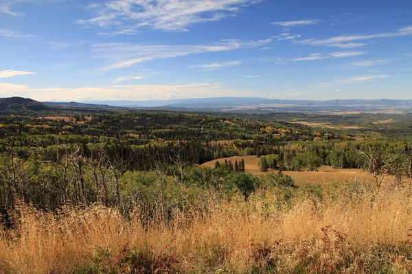 Landscape New Mexico Usa — Stock Photo, Image