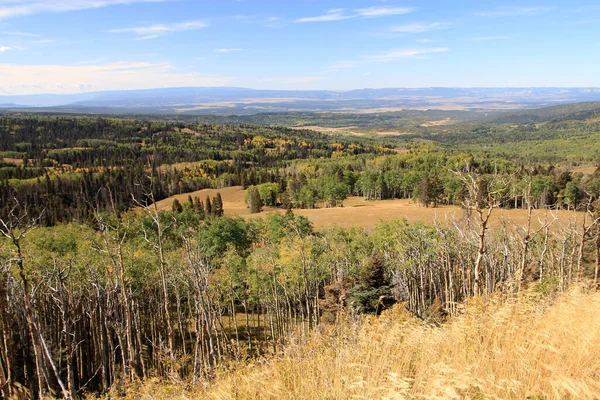 New Mexico Abd Manzara — Stok fotoğraf