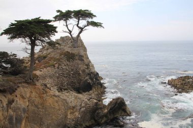 Kayaların üzerinde ağaçlar olan deniz manzarası