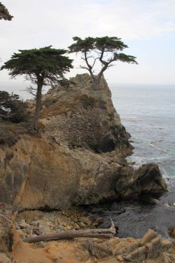 Kayaların üzerinde ağaçlar olan deniz manzarası