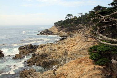 Sahilde ağaçlarla kaplı deniz manzarası