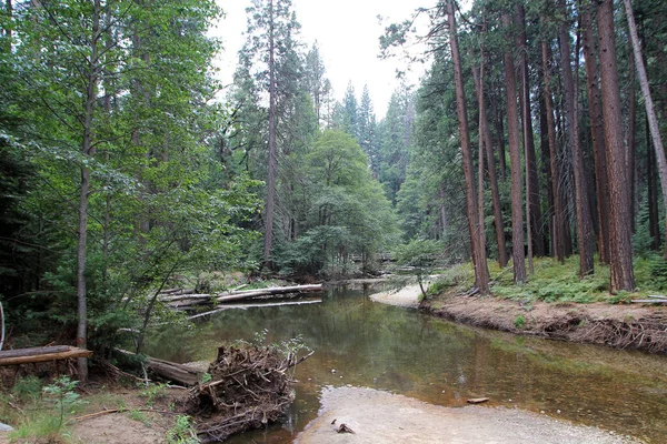 Parque Nacional Yosemite Califórnia Eua — Fotografia de Stock