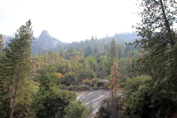 Yosemite National Park California Usa — Stock Photo, Image