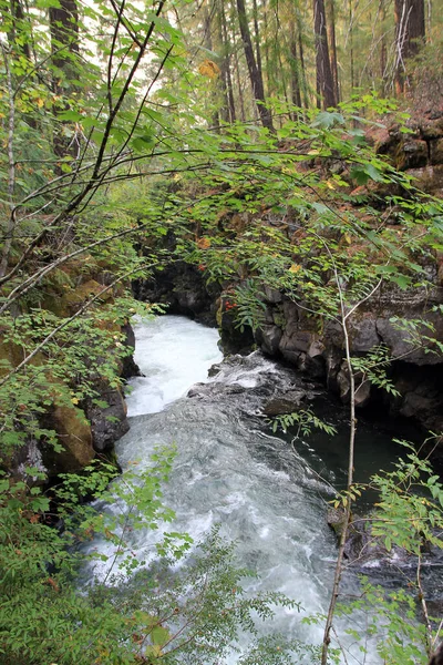 Vattenfall Vid Floden Roque Oregon Usa — Stockfoto