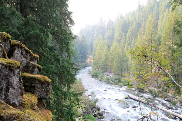 Cascade Rivière Roque Oregon États Unis — Photo