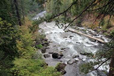 Oregon, ABD 'de Roque nehri şelalesi