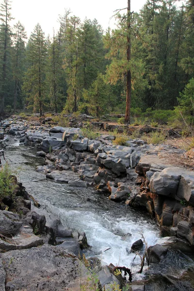 Cascade Rivière Roque Oregon États Unis — Photo