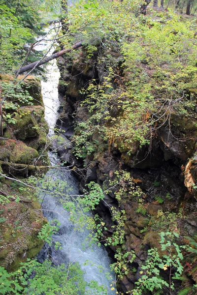 Roque River Waterfall Oregon Usa — Stock Fotó