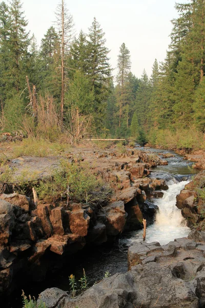 Cascade Rivière Roque Oregon États Unis — Photo